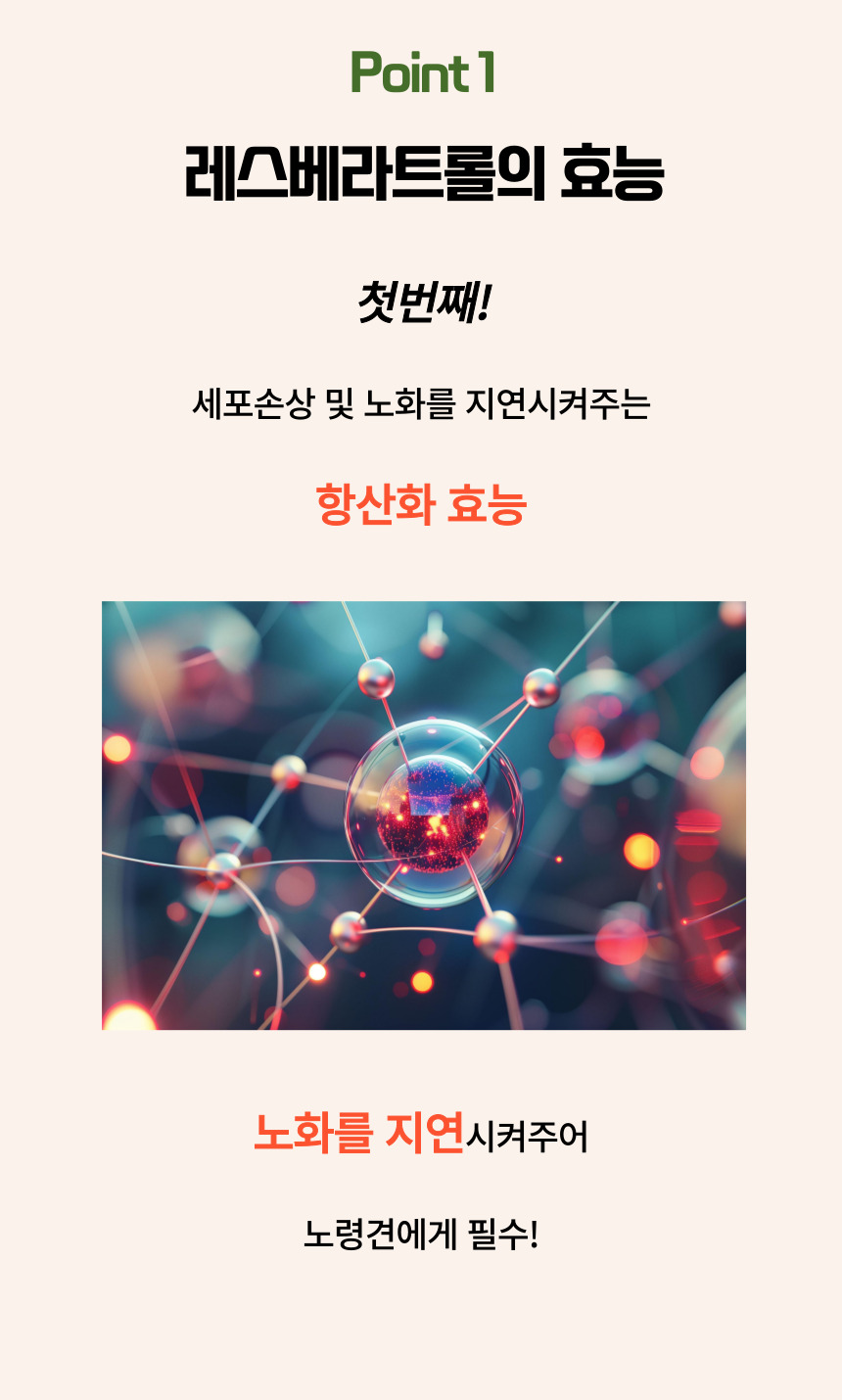[NEW신상][무료배송] 댕그래 이뮨플러스 100g 8번째