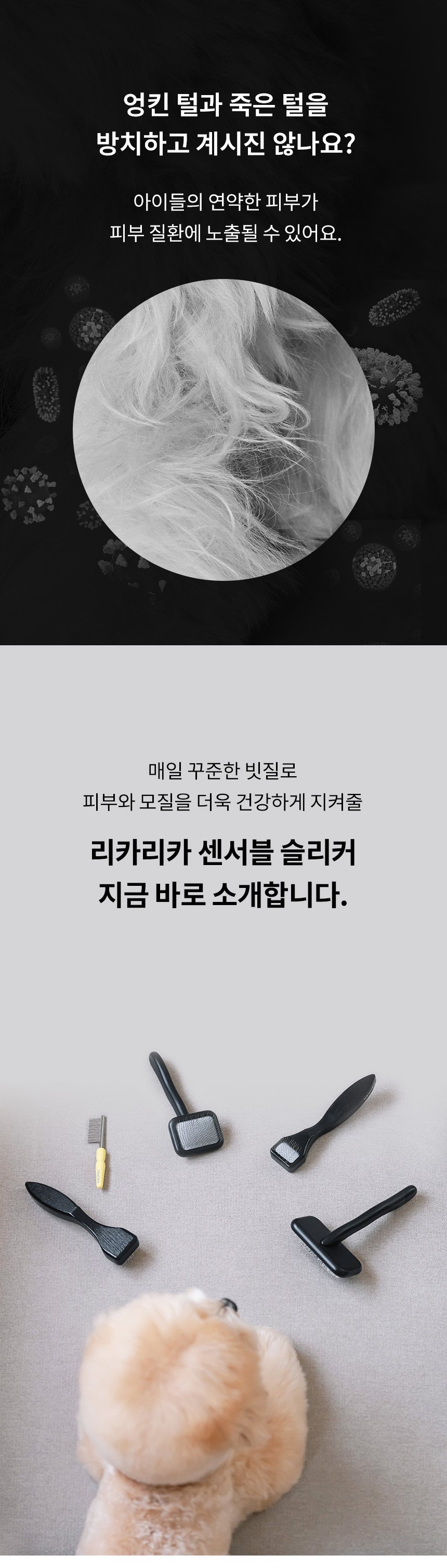 [NEW신상][무료배송] 리카리카 센서블 슬리커 블랙 XS-M 2번째