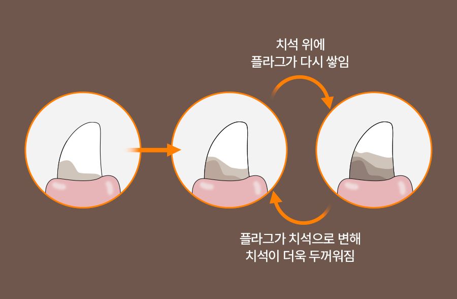 [창고대방출][체험팩] 개님의상점 개님의껌 캐터필러 1p  7번째