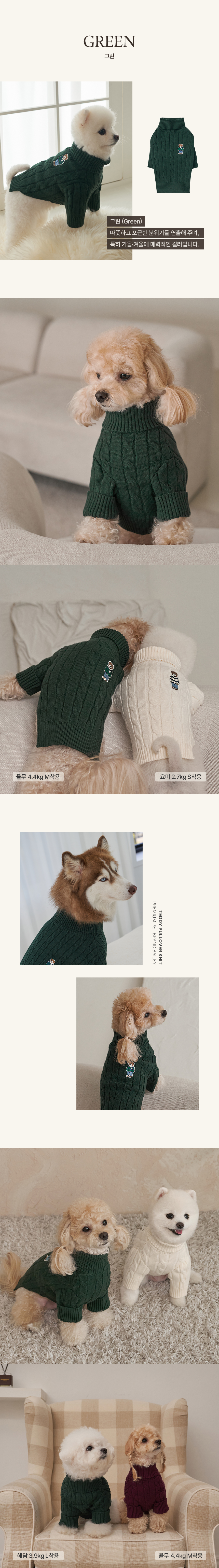 [X-MAS특가] [무료배송] 베일리펫 강아지 테디 풀오버니트 S-5XL (크림/그린/네이비/그레이/버건디) 3번째