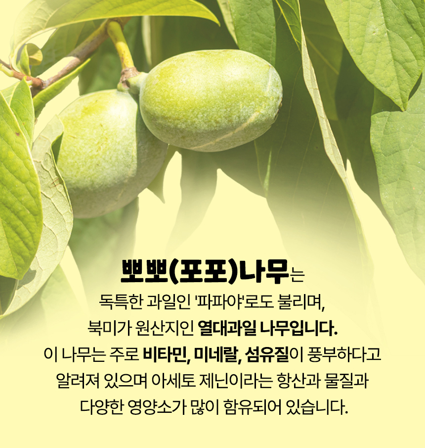 [NEW신상][무료배송] 우리주 이뽀이뽀 치카껌 해조류 50개입 6번째