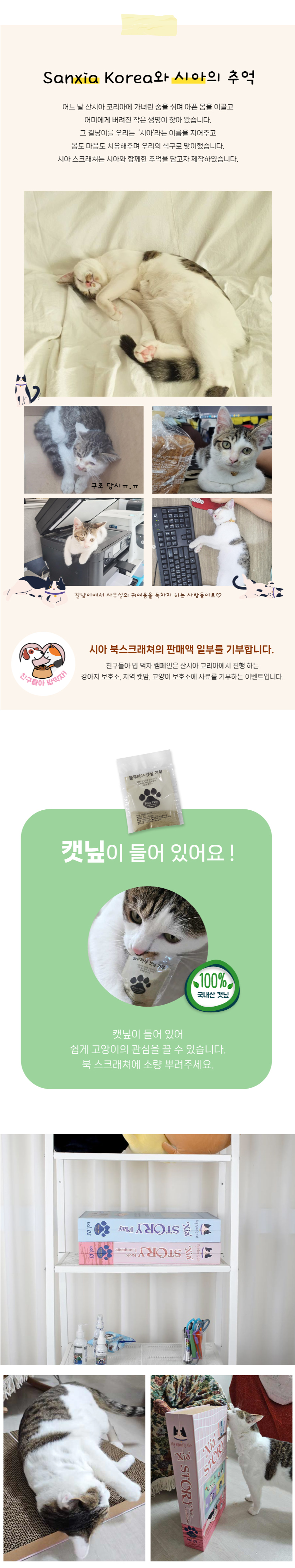 [무료배송] 블루파우 캣 시아 북 스크래쳐 핑크/블루 2번째