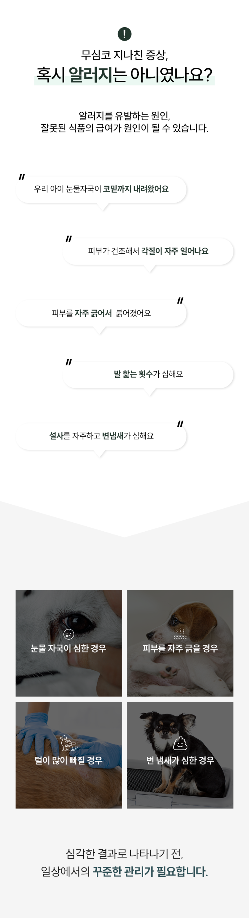 [NEW신상][무료배송] 벅스펫 벅스독 비건포뮬러 1.2kg 7번째