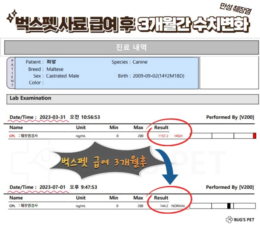 [NEW신상][무료배송] 벅스펫 벅스독 비건포뮬러 1.2kg 4번째