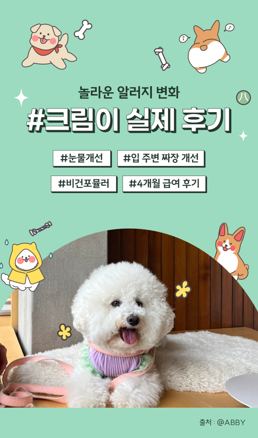 [NEW신상][무료배송] 벅스펫 벅스독 비건포뮬러 1.2kg 5번째