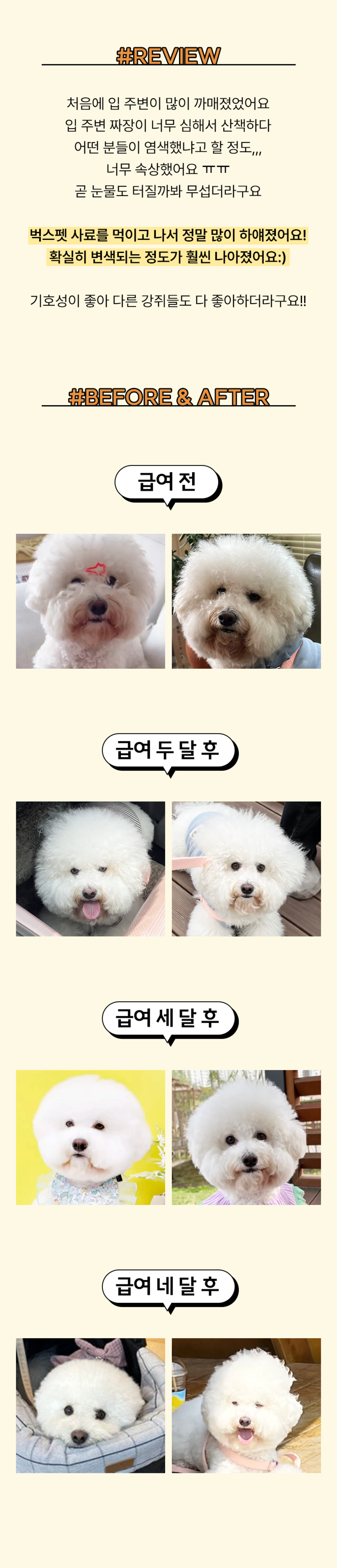 [NEW신상][무료배송] 벅스펫 벅스독 비건포뮬러 1.2kg 6번째