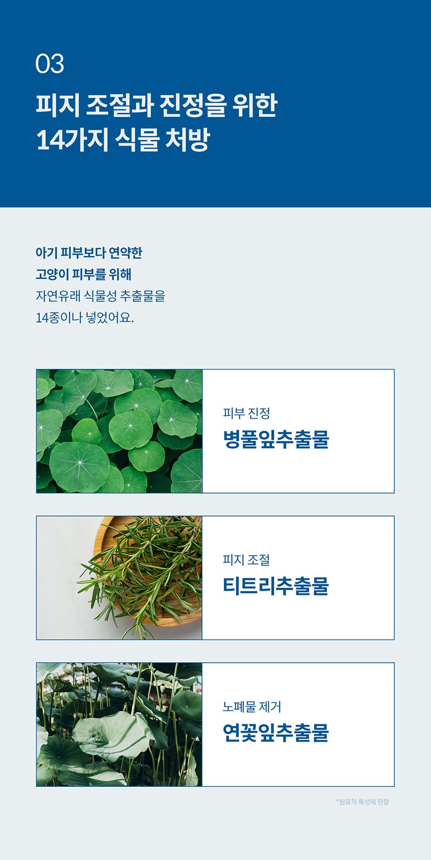 [체험단] [무료배송] 두잇 블랙클리너 핑거티슈 10번째