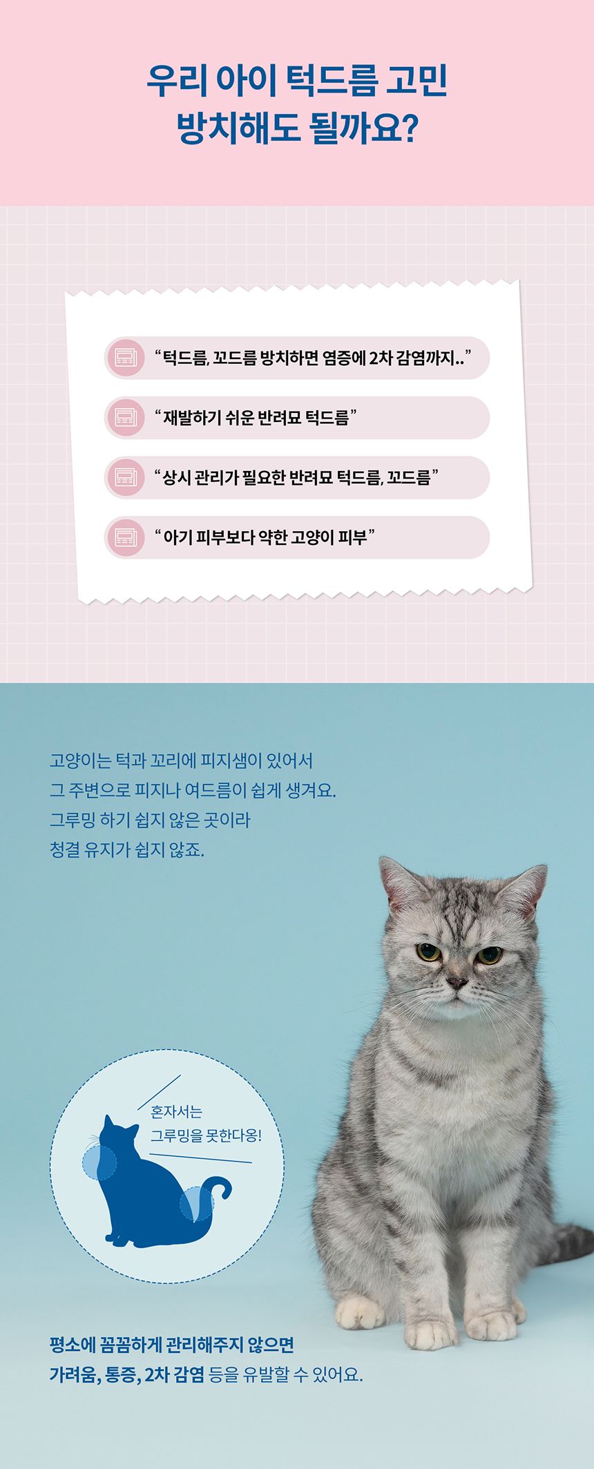 [체험단] [무료배송] 두잇 블랙클리너 핑거티슈 4번째