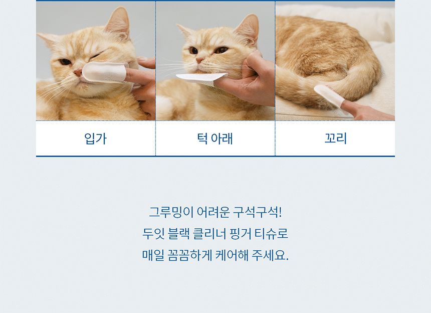[체험단] [무료배송] 두잇 블랙클리너 핑거티슈 6번째