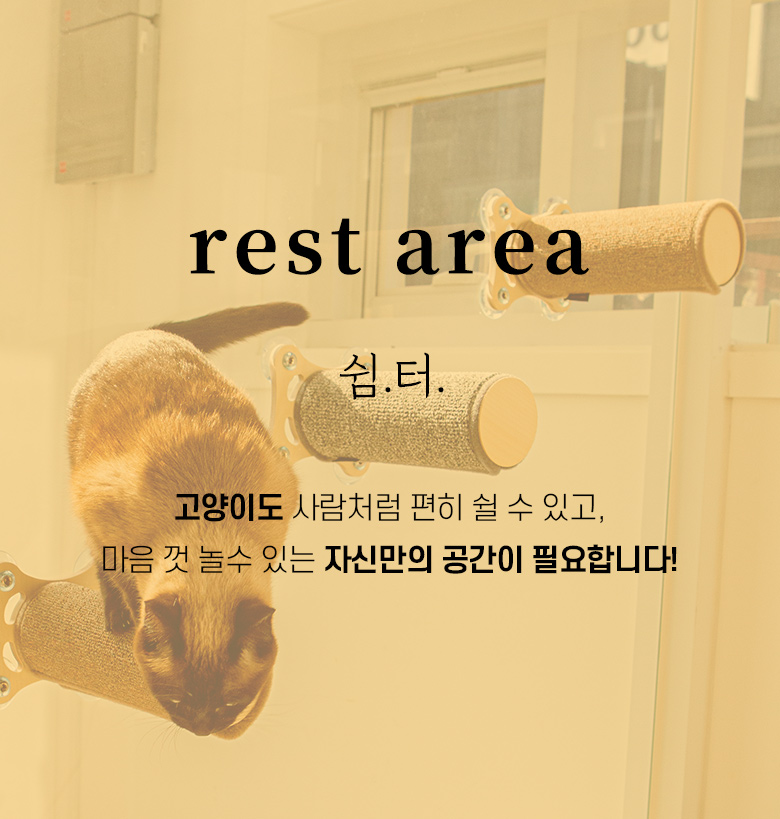 [심쿵펫페어][무료배송] 모넬로 디디냥 고양이 창문 캣타워 원목 미니 캣워커 GO23010 4번째
