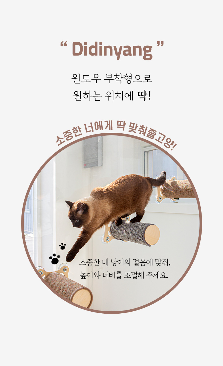 [심쿵펫페어][무료배송] 모넬로 디디냥 고양이 창문 캣타워 원목 미니 캣워커 GO23010 5번째