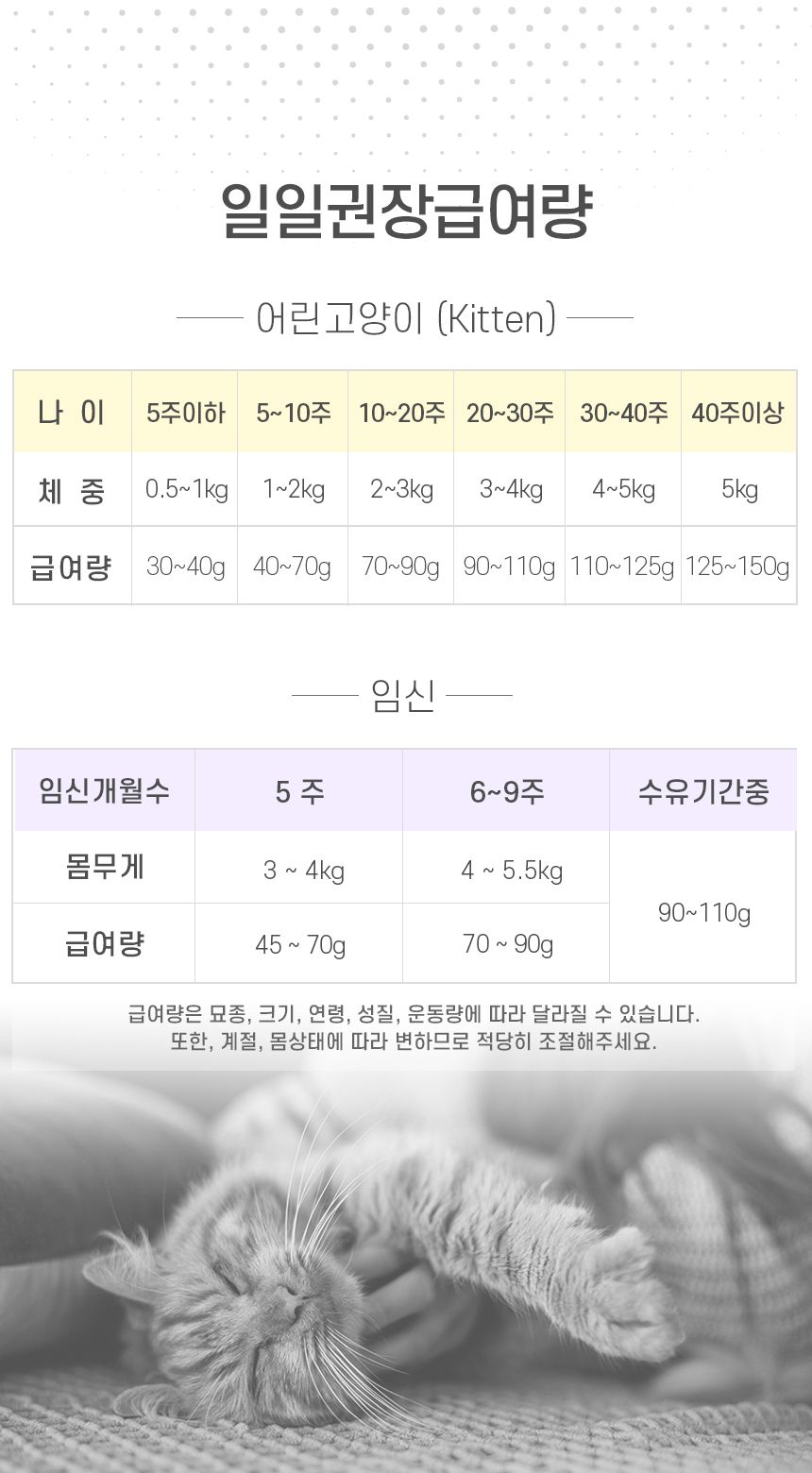 보나시보 캣 치킨 엔초비&라이스 키튼 1.5kg 7번째