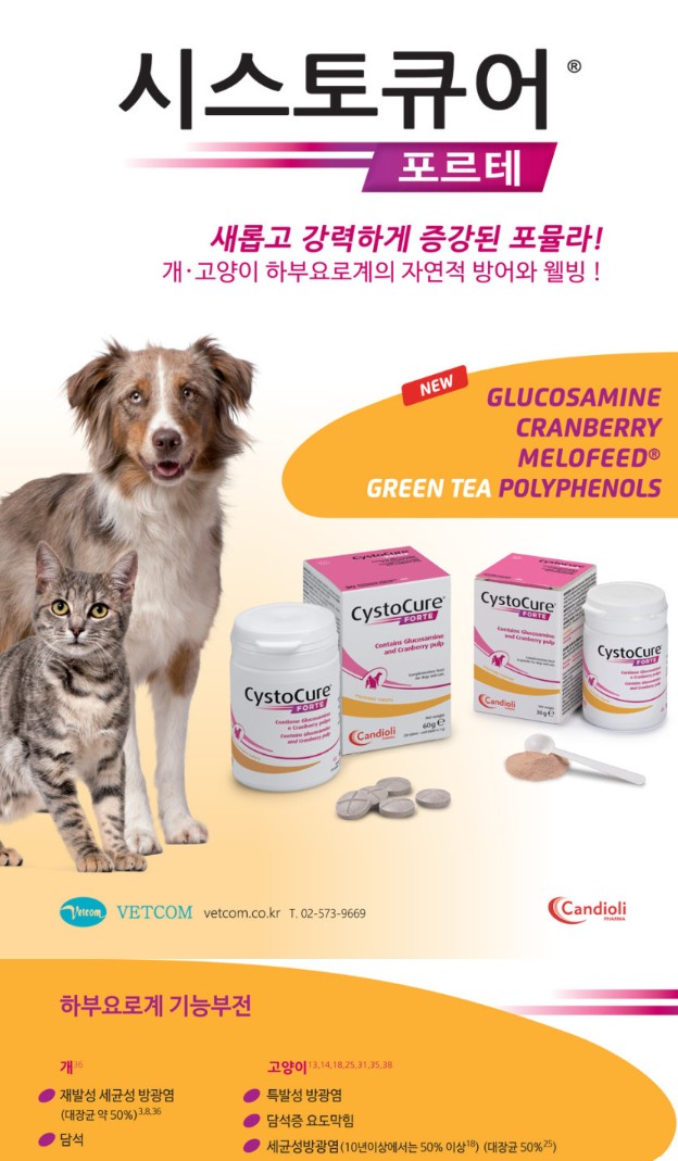 [무료배송] 칸디올리 시스토큐어 포르테 30g 1번째