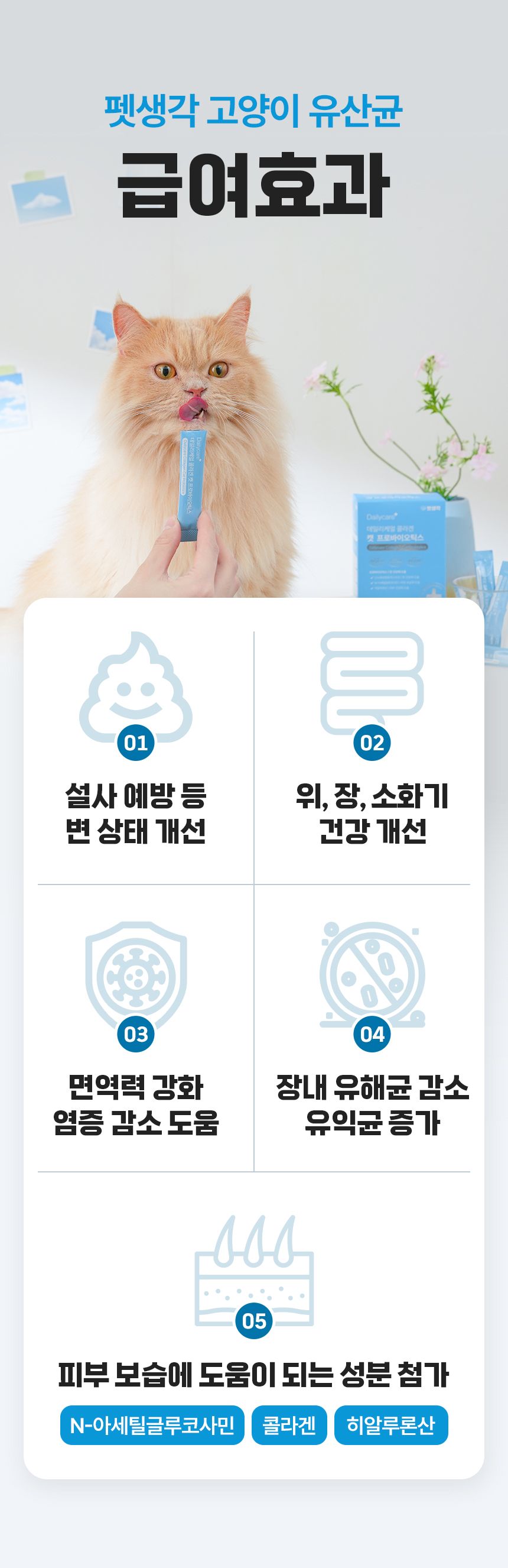 펫생각 데일리케얼 콜라겐 캣 프로바이오틱스 고양이 유산균 60g 9번째