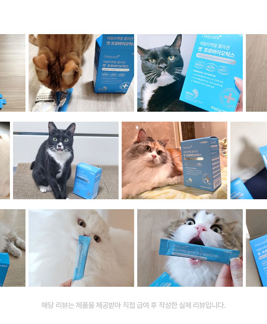 펫생각 데일리케얼 콜라겐 캣 프로바이오틱스 고양이 유산균 60g 15번째