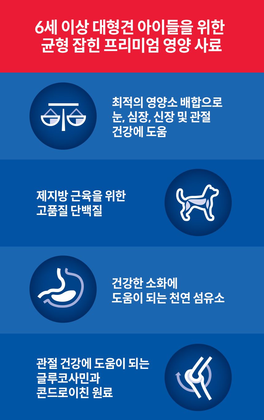 힐스 독 어덜트6+ 라지브리드 치킨 6.8kg 3번째