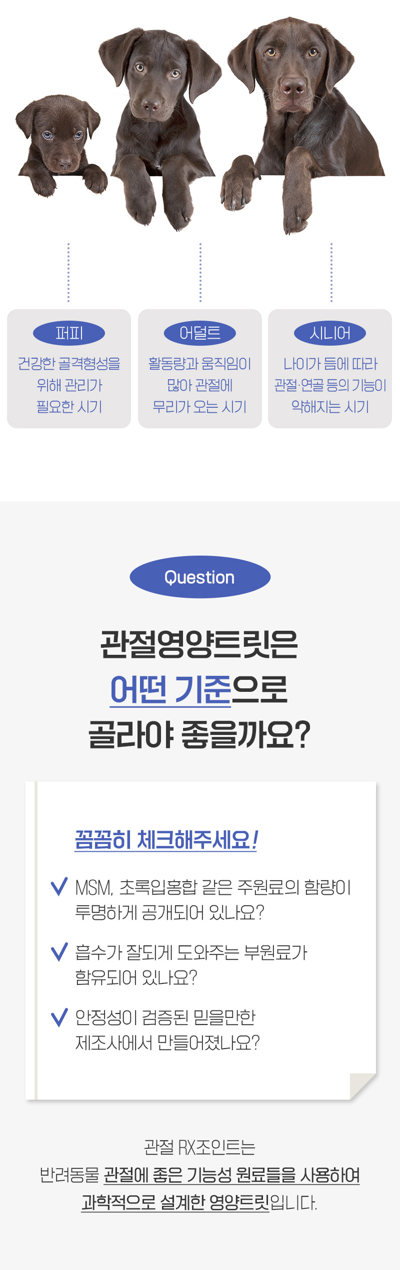 [NEW신상][무료배송] 뉴알엑스 관절 RX 조인트 60개입 180g 8번째