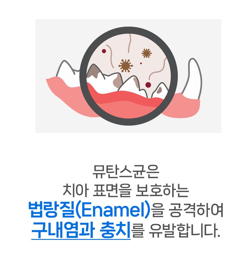 닥터뉴토 캣 프레시케어 트릿 무항생제 닭가슴살 55g 9번째
