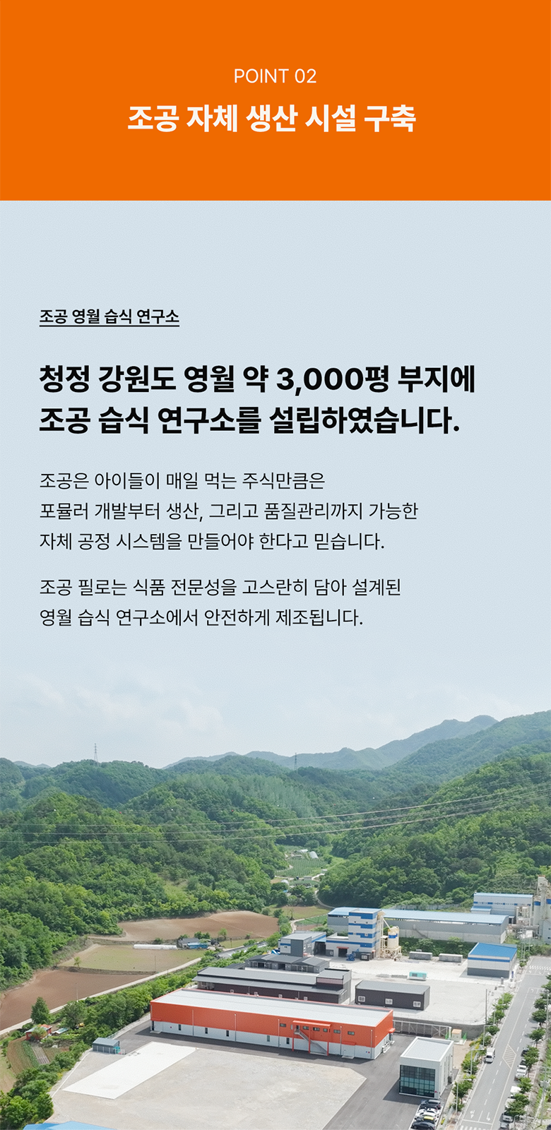 조공 필로 캣 닭&고등어 90g 4번째