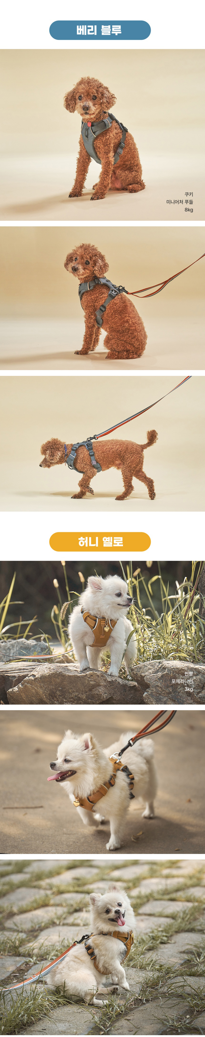 [무료배송] 젠틀우프 조거 하네스 캐롯레드/허니옐로/베리블루 XXS-S 4번째