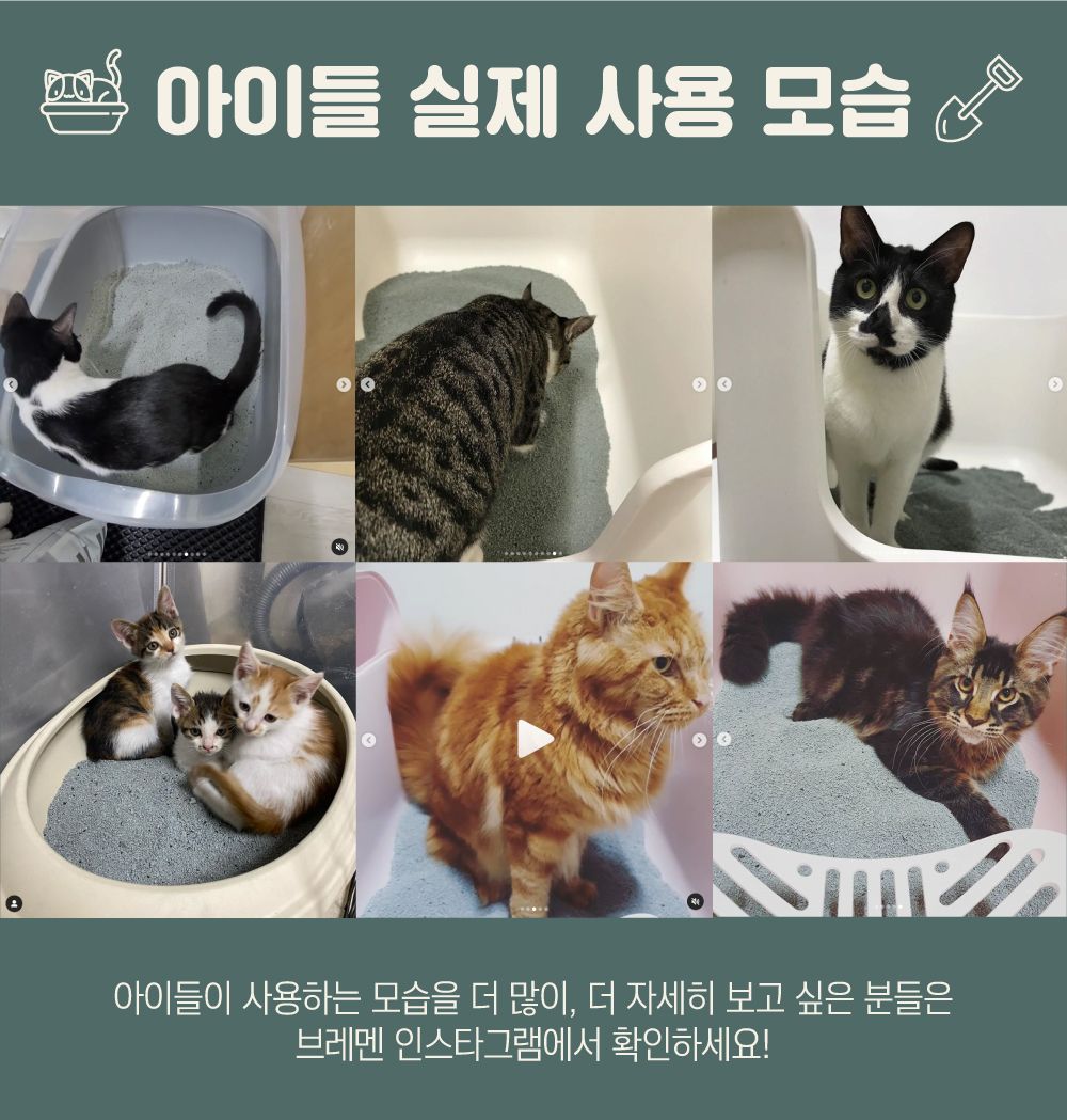 [무료배송] 브레멘 클래식 모래 머스크향 (일반입자) 8kg 1번째