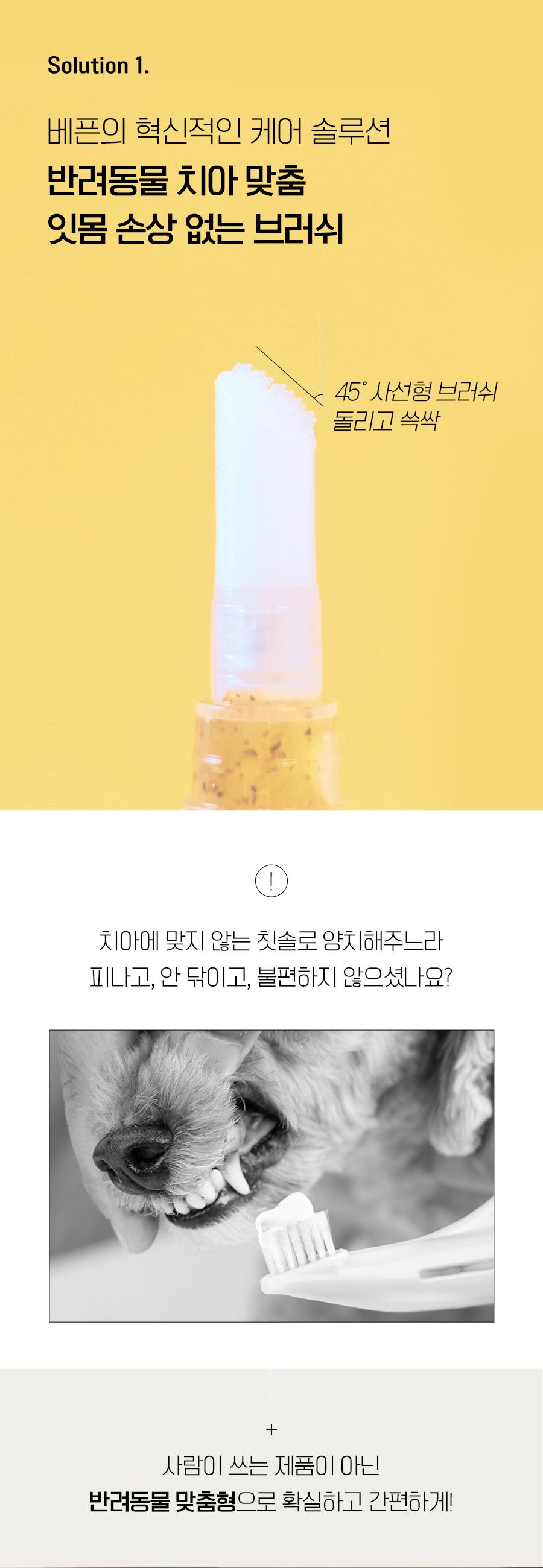 [무료배송] 베픈 덴탈프리 양치펜 4g 5번째