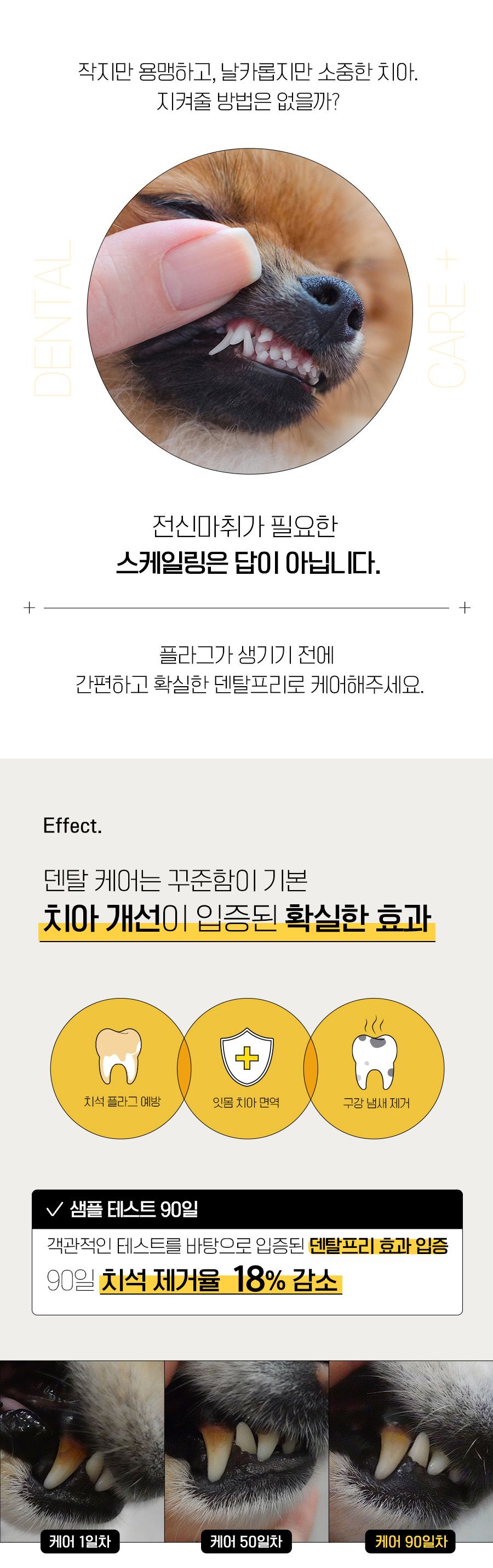 [무료배송] 베픈 덴탈프리 양치펜 4g 2번째