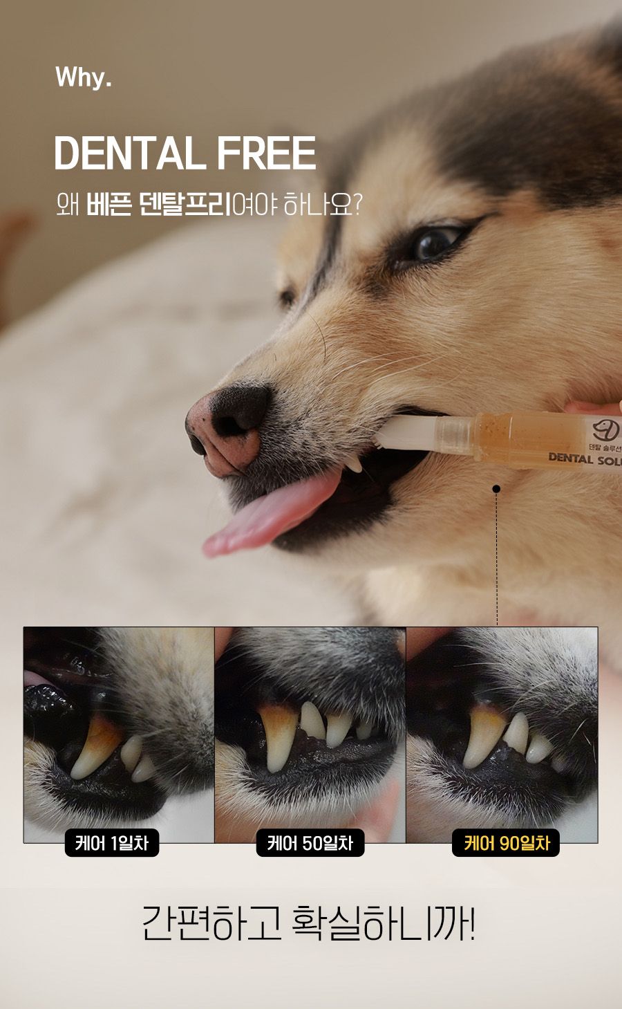 [무료배송] 베픈 덴탈프리 양치펜 4g 8번째