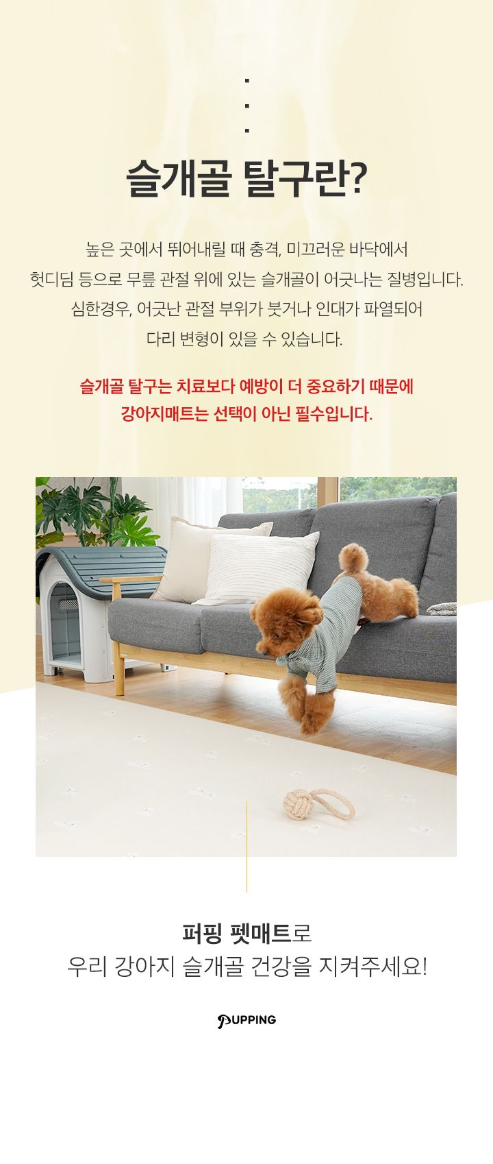 [무료배송] 퍼핑 펫매트 복도타입 견종 디자인 비숑/웰시코기/말티즈/포메라니안/푸들 2번째
