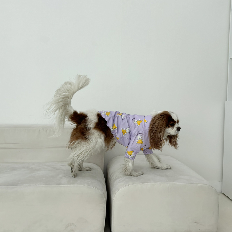 [무료배송] 해피댕댕 퍼피바람막이 S - 2XL 11번째