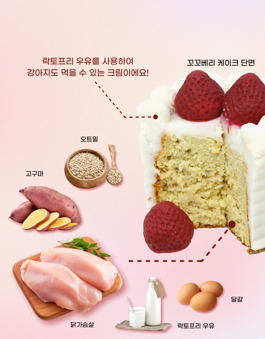 [무료배송] 견우재 꼬꼬베리 케이크 강아지케이크 생일케이크 10번째