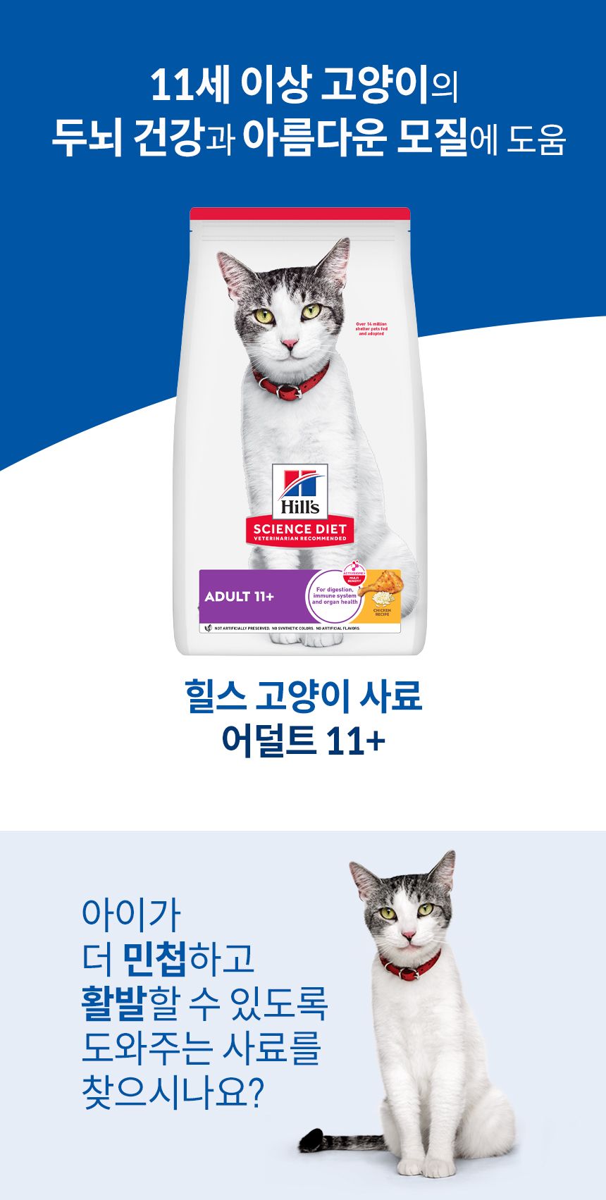 힐스 캣 어덜트 11+ 치킨 1.6kg   2번째