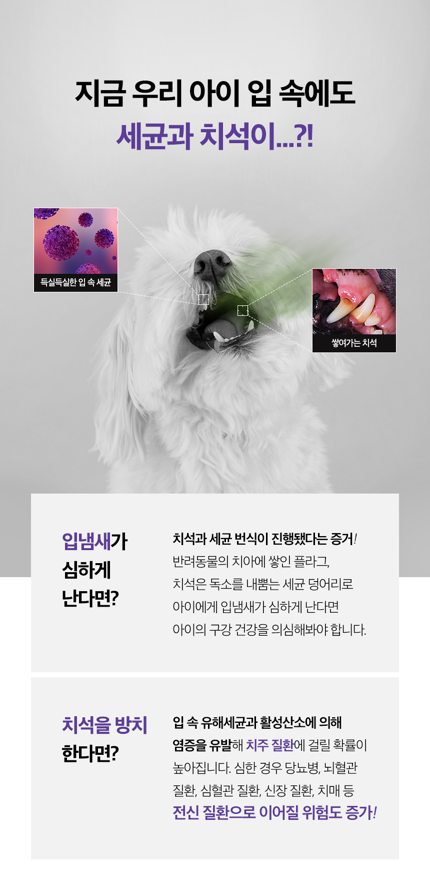 [무료배송] 옵티펫 덴탈애캣 가수분해 저알러지 덴탈 껌 간식 150g 6번째