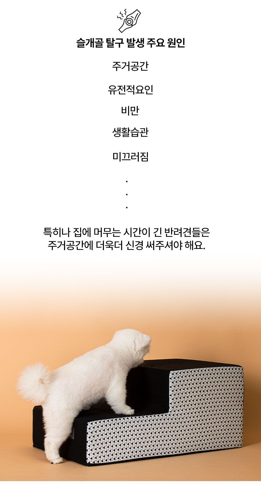 [무료배송] 초코펫하우스 파스칼 삼각 스텝 2단/3단 2번째