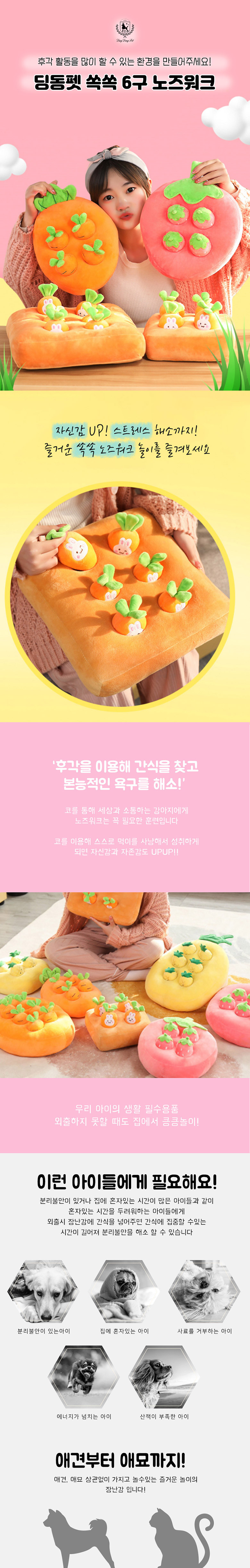 [무료배송] 딩동펫 반려동물 쏙쏙 6구 노즈워크 2번째
