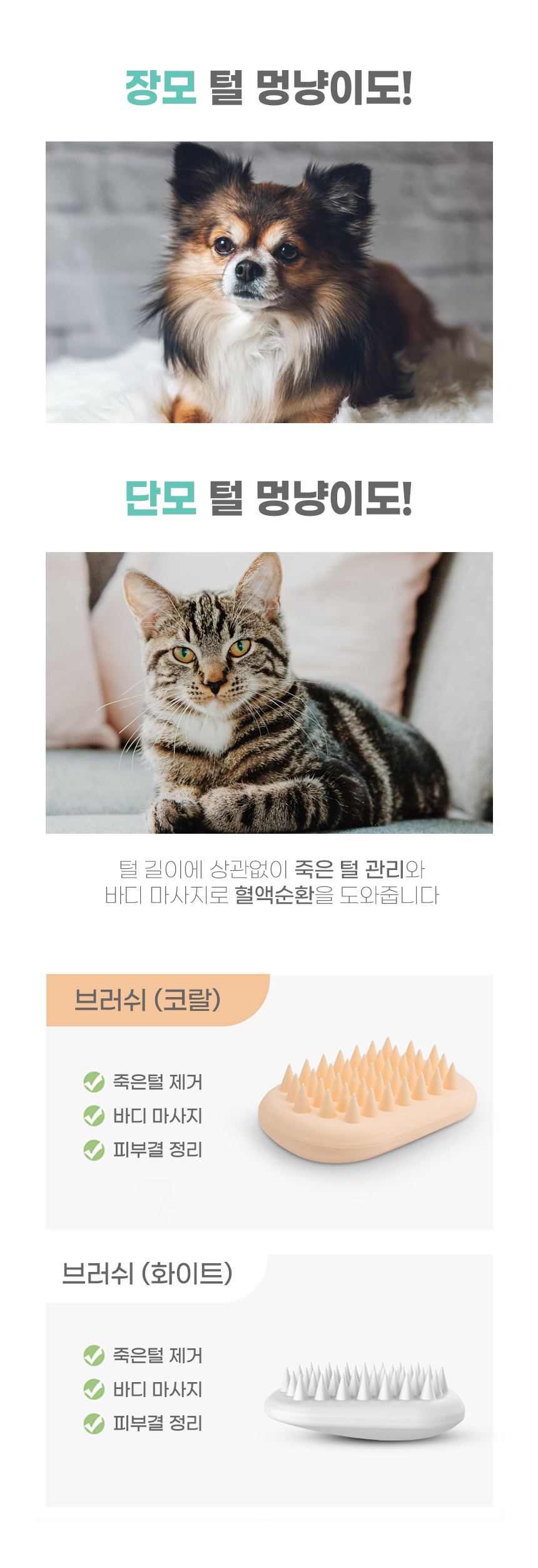 [무료배송] 코코시루 펫 마우스 브러쉬 화이트/핑크 5번째