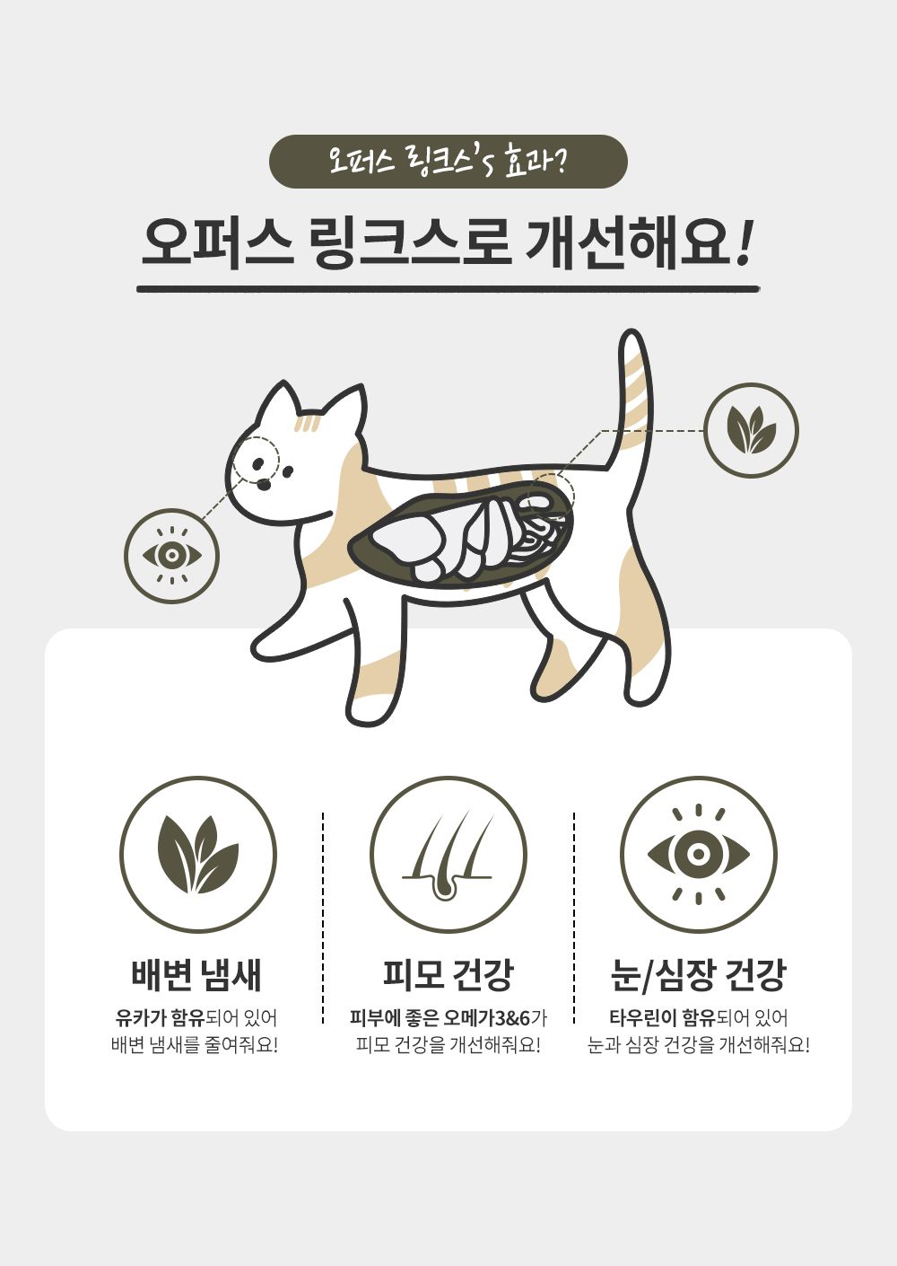 후새 캣 오퍼스링크스 1.36kg 4번째