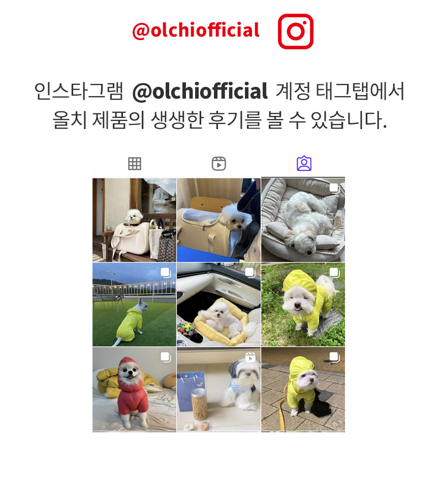 [무료배송] 올치 프렌즈 배색 덤블 티셔츠 옐로우/블루 S-XL 5번째