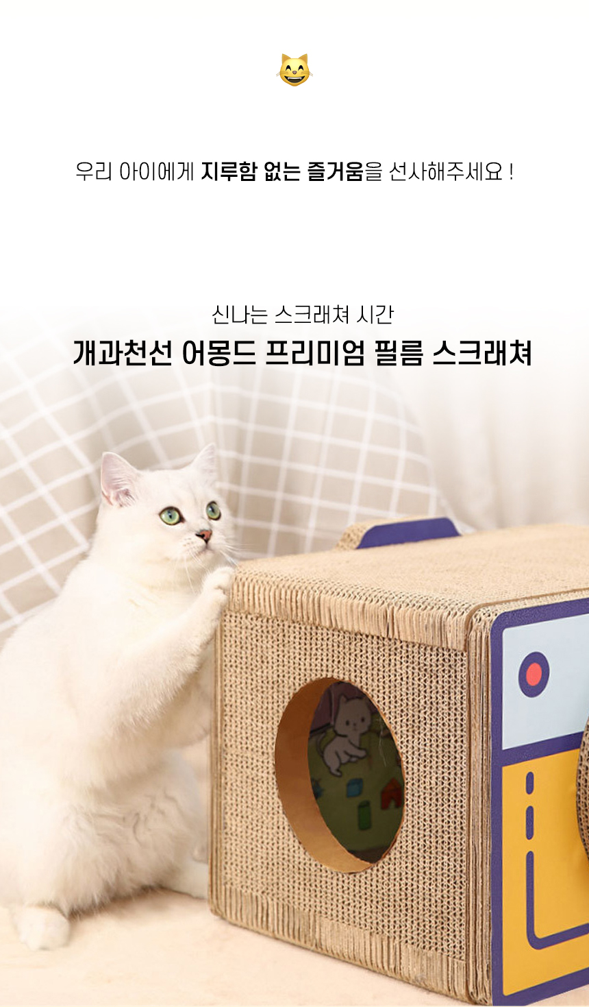 [NEW신상][무료배송] 개과천선 캣 어몽드 프리미엄 필름 스크래쳐 1번째