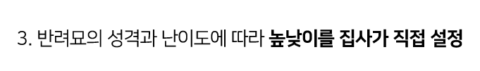 집에가야돼 캐치하다2 먹이퍼즐 보물찾기 천연펄프/투명PVC 9번째