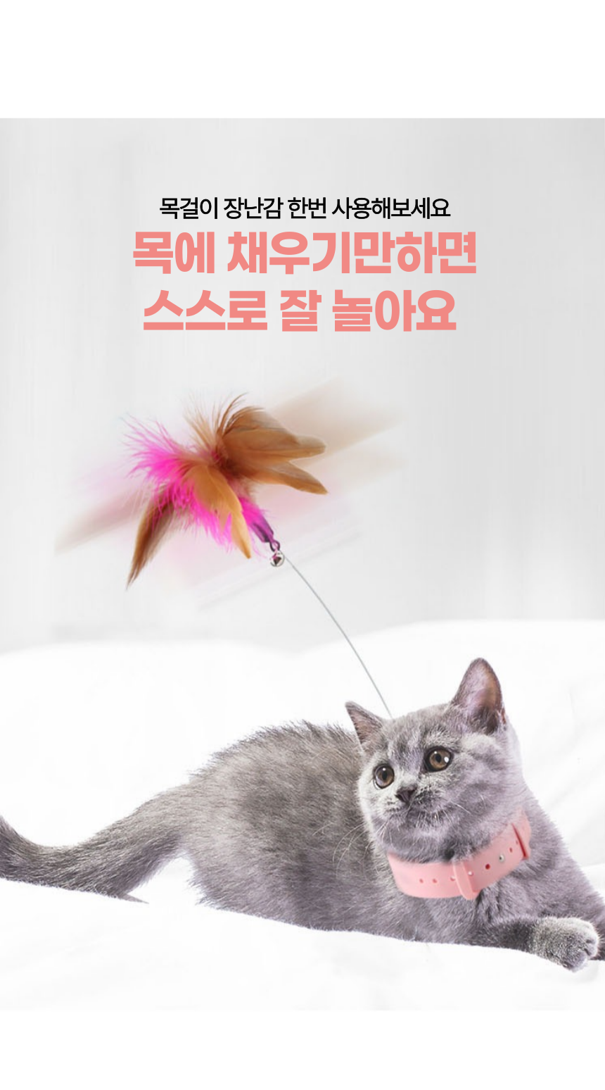 [무료배송] 알뜰펫 발목걸이 장난감 핑크 4번째