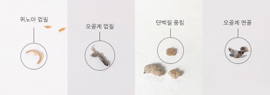 조공 오키로스틱 블랙 14g*4p 11번째