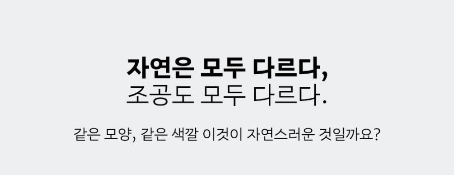 조공 오키로스틱 블랙 14g*4p 21번째