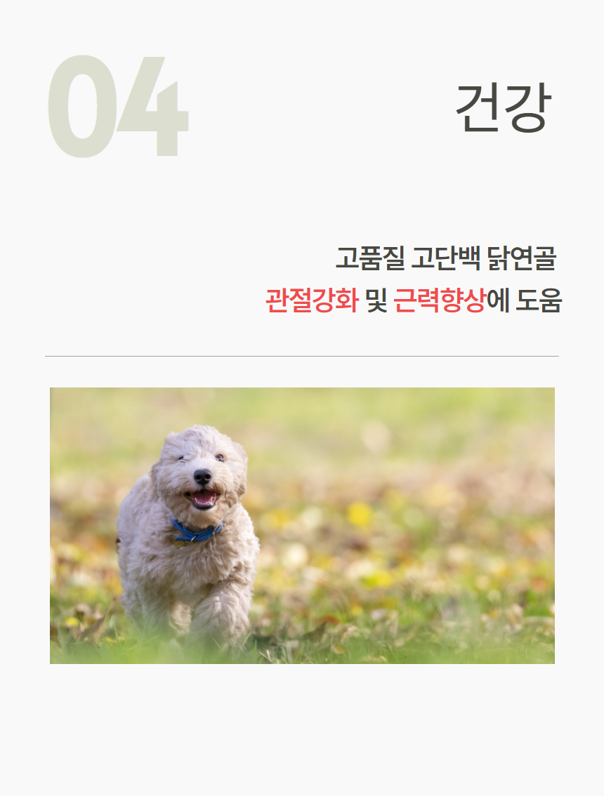 [NEW신상][무료배송] 츄스데이 닭가슴연골츄 40g 9번째
