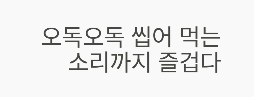 [NEW신상][무료배송] 츄스데이 닭가슴연골츄 40g 4번째