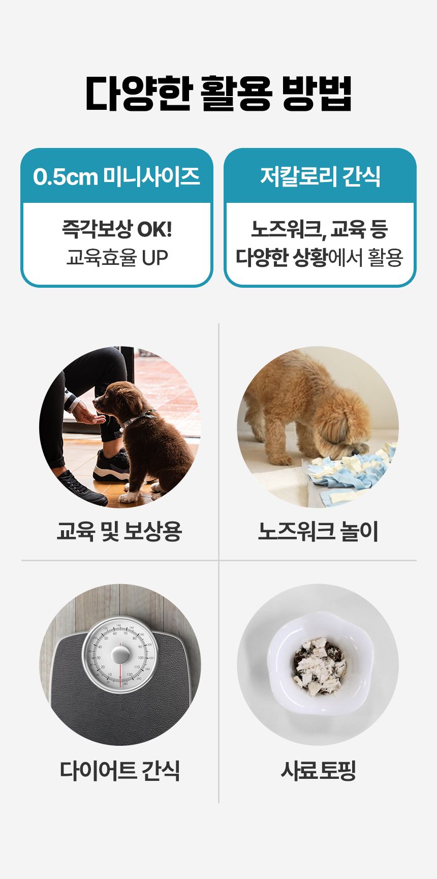 펫생각 하루조이 한입쏙쏙 북어 트릿 55g (900알) 7번째