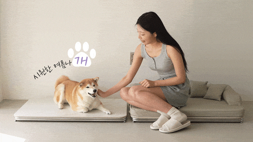 [NEW신상][무료배송] 다니펫 뮤즈 세라믹 논슬립 펫 소파 (크림치즈/피넛버터/아보카도) 15번째