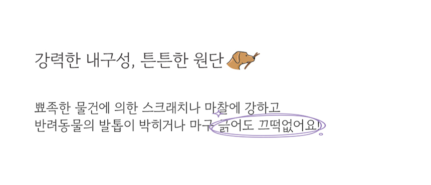 [NEW신상][무료배송] 다니펫 뮤즈 세라믹 논슬립 펫 소파 (크림치즈/피넛버터/아보카도) 12번째