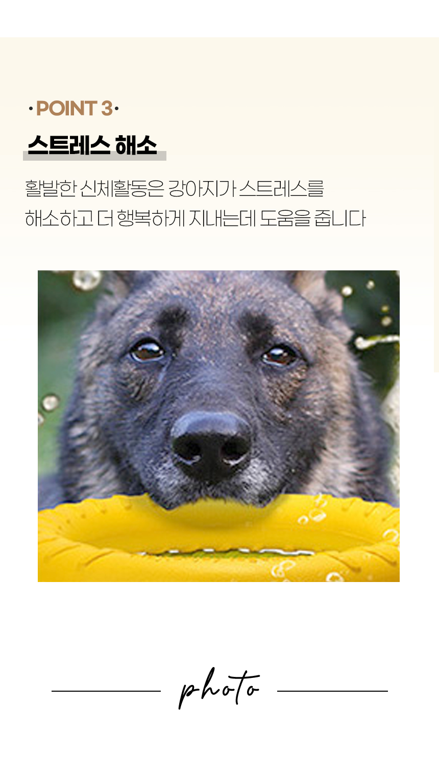 [NEW신상][무료배송] 개과천선 독 치어 터그 링 터그놀이 장난감 (블루/오렌지/밀크 그린) 7번째