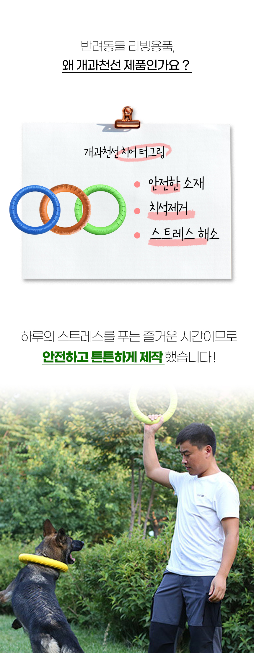 [NEW신상][무료배송] 개과천선 독 치어 터그 링 터그놀이 장난감 (블루/오렌지/밀크 그린) 5번째